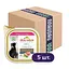Уценка. Набор влажного корма для собак Almo Nature HFC Dog Complete 4+1 ветчина и горох 425 г (85 г х 5 шт.) - миниатюра 1