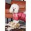 Комбінезон Pet Fashion Cherry ХS2 для дівчаток для собак - мініатюра 6