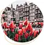 Дерев’яний пазл в коробці Тюльпани Амстердаму - мініатюра 1