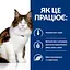 Сухий корм Hill's Prescription Diet w/d для котів при цукровому діабеті та для контролю ваги з куркою 5 кг - мініатюра 7