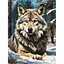 Набор для росписи ArtCraft Волк в лесу 40 x 50 см (11575-AC) - миниатюра 1