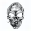 Маска Череп - миниатюра 1