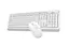 Комплект (клавіатура + миша) A4Tech Fstyler FG1012 (FG1012 (White)) - мініатюра 2