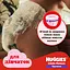 Уценка. Подгузники-трусики для девочек Huggies Little Movers Pants 5 (12-17 кг) 68 шт. - миниатюра 9