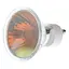 Лампа Brille галогенна 50W GU10 MR16, 36 Red 220 В - мініатюра 1