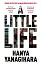 A Little Life - мініатюра 1
