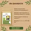 Куркума лате без кофеїну Здорово! 250 г - мініатюра 5