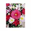 Картина по номерам Rosa Start Квітковий мікс 35 х 45 см (4823098525103) - мініатюра 1