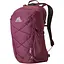 Рюкзак Gregory Kiro 22 Amethyst (1053-136982 B170) - миниатюра 1