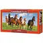 Пазл Castorland puzzle Лошади, 600 эл. (панорама) (B-060351) - миниатюра 1