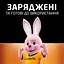 Аккумулятор Duracell HR6 2500mAh 4 шт. - миниатюра 6