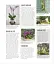 Grow Orchids. Essential Know-how and Expert Advice for Gardening Success - миниатюра 7