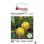 Насіння патисону Садиба Центр Сані Делайт F1, 5 шт.  - мініатюра 1