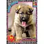 Детский пазл Домашние питомцы AN149 плакат 70 элементов - миниатюра 1