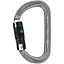 Карабин Petzl Am'D Ball Lock (1052-M34A BL) - миниатюра 1