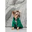 Комбінезон Pet Fashion EGO S2 зелений для собак - мініатюра 4