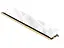 Модуль памяти Crucial DDR5 16GB Pro 6400Mhz Overclocking White EXPO/XMP (CP16G64C32U5W) - миниатюра 3