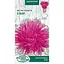 Насіння Айстра голчаста Насіння України Ельза 0.25 г (768400) - мініатюра 1