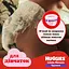 Уцінка. Набір підгузки-трусики для дівчаток Huggies Little Movers Pants 6 (15-25 кг) 60 шт. - мініатюра 8