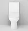 Унитаз-компакт AM.PM SPIRIT с сиденьем Soft Close (C708607SC) - миниатюра 6