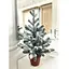 Ялинка Hvoya Traditional лита в горщику 50 см засніжена - мініатюра 2