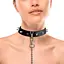 Ошейник Art of Sex - Collar Spikes and Leash с шипами и поводком - миниатюра 1