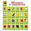 Набір розвиваючих карток "Полювання вдома" ME5032-25, 25 карток із завданнями - мініатюра 3