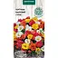 Насіння Портулак махровий Насіння України суміш 0.2 г (800000) - мініатюра 1