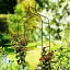 Арка садовая-пергола Garden Line PERG-N6078 - миниатюра 6