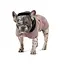 Попона Pet Fashion Max для собак M2 - миниатюра 10