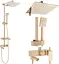 Душова система Rea Jack gold з виливом та полицею золотий REA-P7008, Золотий - мініатюра 2