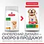 Сухий корм Hill's SP Puppy Large Breed C 0,8 кг для цуценят великих порiд зі смаком курки - мініатюра 2