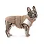 Жилет Pet Fashion Chip для собак такса XS - мініатюра 4