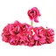 Декоративні троянди для творчості KV-730 пучок 12 штук - мініатюра 1