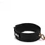 Нашийник з повідцем Liebe Seele Black Organosilicon Collar With Leash - мініатюра 4