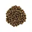 Сухой корм Brit Care Cat GF Sensitive HDiгestion Delicate Taste 2 кг для кошек с чувствительным пищеварением - миниатюра 2