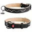 Ошейник для собак Waudog Soft кожаный с QR паспортом, металлические украшения, M, Ш 25 мм, Дл 38-49 см (4820152561923) - миниатюра 1