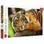 Пазл Trefl Портрет тигра 500 эл. (37397) - миниатюра 1