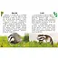 Читаю про Україну по складах "Тварини лісів" Ранок 366023 з кольоровими ілюстраціями - мініатюра 4