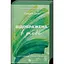 Відображена в тобі - Сільвія Дей - миниатюра 1