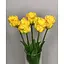Тюльпани штучні Hvoya Real Touch латексні махрові 5 шт. жовті - мініатюра 7