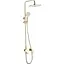 Душевая система Rea Storm gold с изливом REA-P9531, Золотой - миниатюра 1