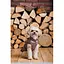 Жилет Pet Fashion Hardy для собак розмір S2 - мініатюра 10