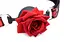 Кляп з кулькою Master Series Eye-Catching Ball Gag With Rose: Естетика БДСМ та романтичне домінування - мініатюра 3