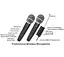 Портативная колонка Big ALIEN-XR12 75W, USM/MP3/FM/Bluetooth + 2 микрофона караоке - миниатюра 2