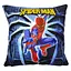 Наволочка Spider-Man - мініатюра 1