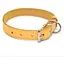 Нашийник для собак Zoo-hunt Весна шкіряний жовтий 1,2/20-25 см - мініатюра 1