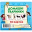 Розвиваючі картки для дітей Домашні тварини J012yD, 18 картинок - мініатюра 1