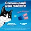 Уценка. Влажный корм для взрослых кошек Felix вкусные моменты дополнительный с лососем 4 шт. х 10 г - миниатюра 9