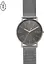 Часы SKAGEN SKW6577 - миниатюра 1